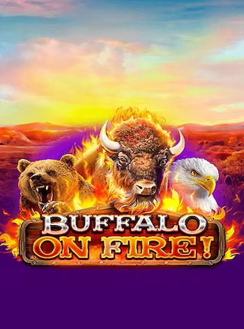 Buffalo on Fire