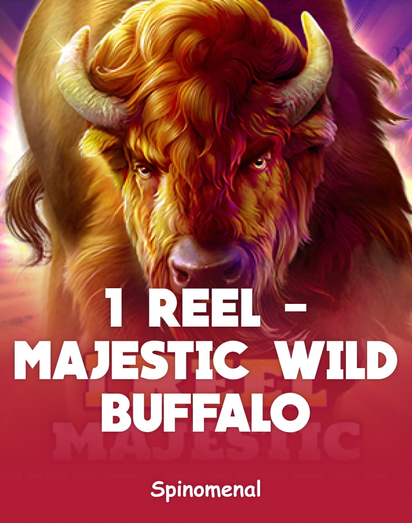 1 Reel - Majestic Wild Buffalo