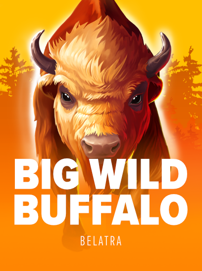 Big Wild Buffalo 2